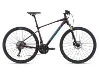GIANT Roam 0 Disc 2021