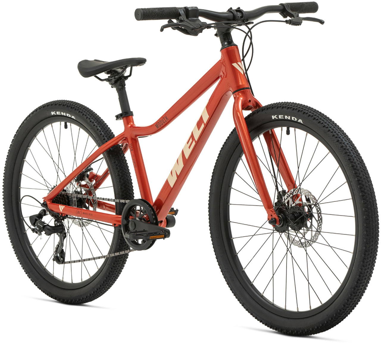 Велосипед Welt Moovix 1.0 24 MD 2026