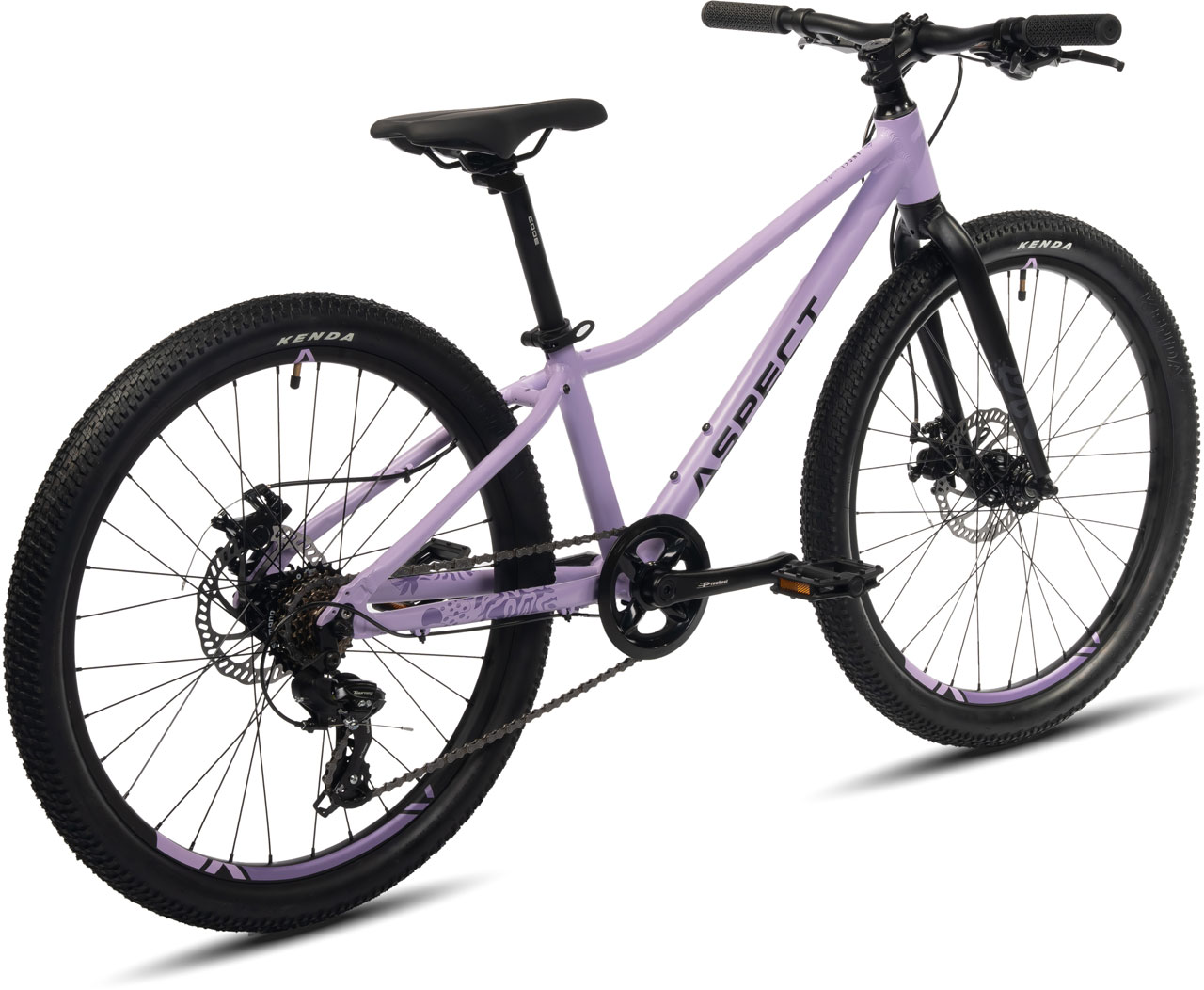 ASPECT Angel Lite 24 2024