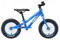 Welt Zebra Pro 12 2020