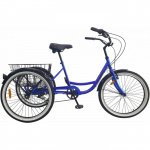 AIST Cargo 2.0 24 2020