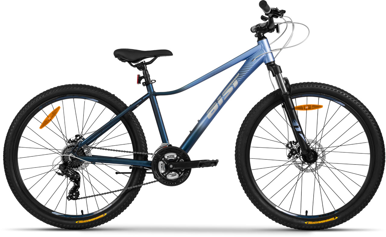 AIST Rosy 1.0 Disc 27.5 2026