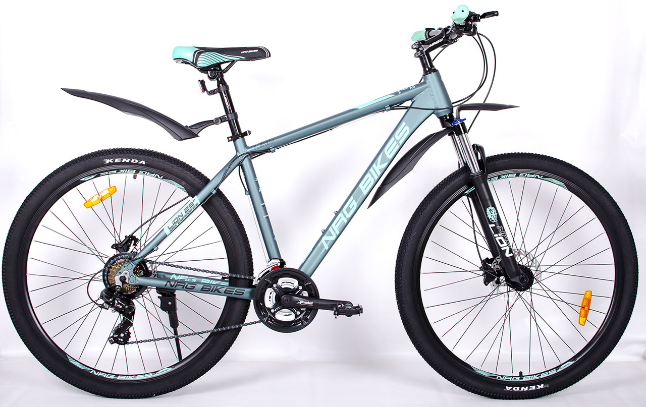 NRG BIKES Lion 29 2025