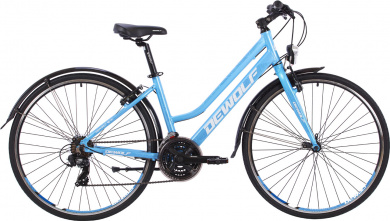 DEWOLF Asphalt 10 W 2022