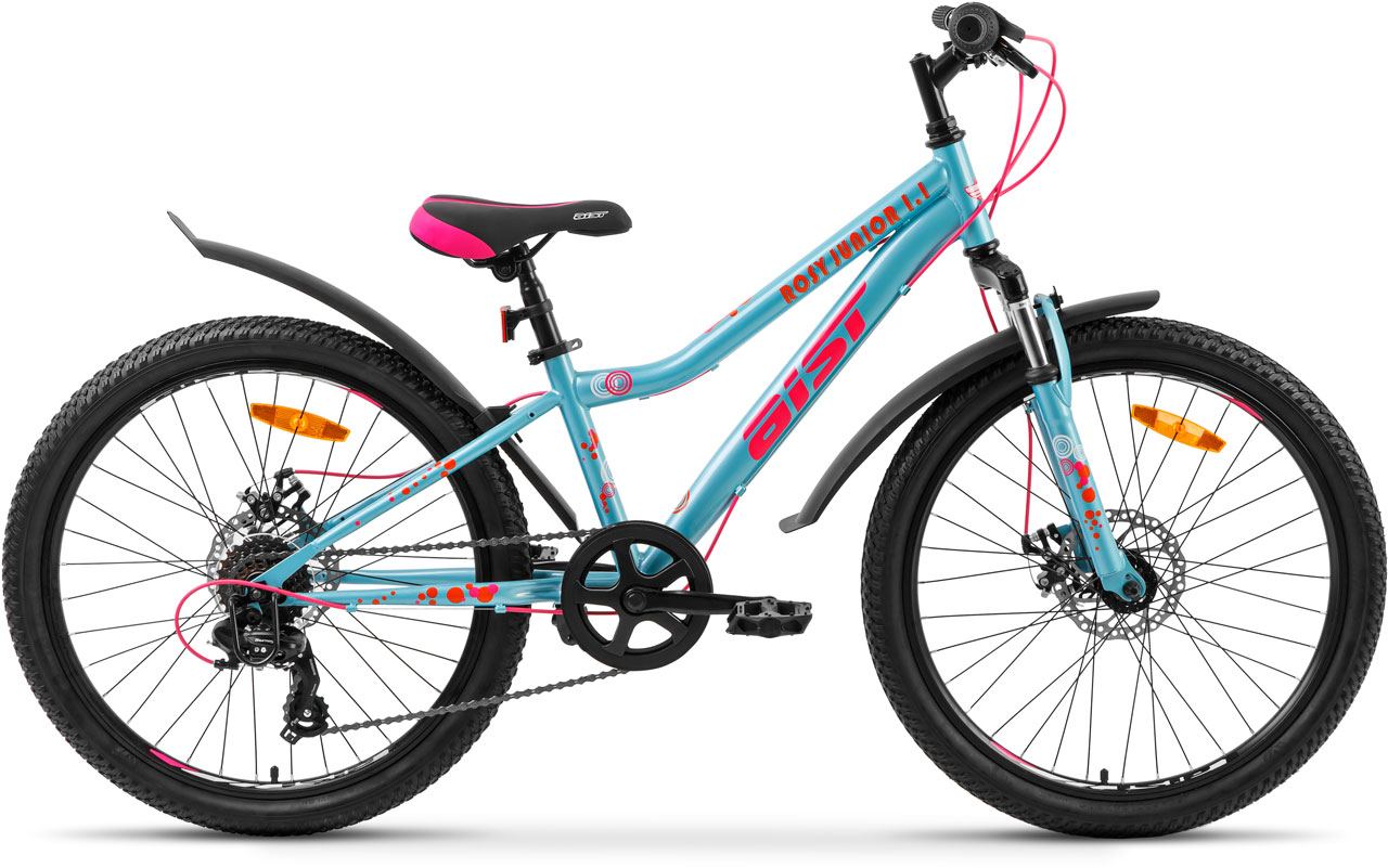 AIST Rosy Junior 1.1 2025