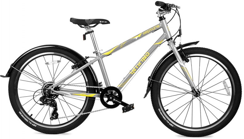 INTRINO Neptune 24 2026