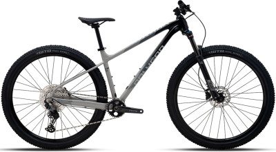 POLYGON Xtrada 7 29 2024