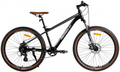 HAEVNER Premier GT 29 2024