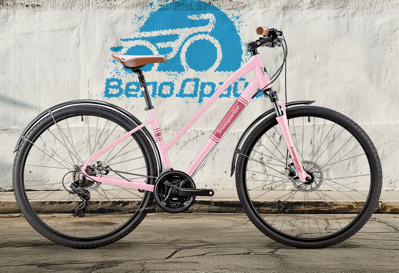 TITAN RACING Transporter Madison 2024