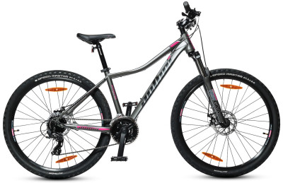 AUTHOR Arsenal ASL 2024