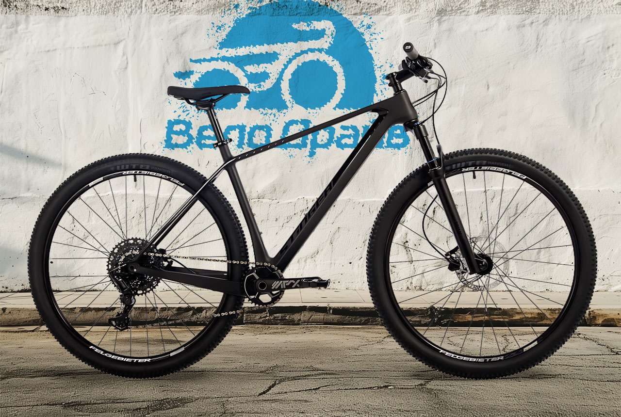 STINGER Genesis Std 29 2024