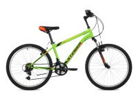 STINGER Caiman 24 2018