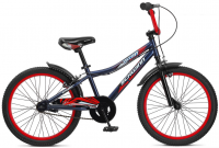 SCHWINN Falcon 2020
