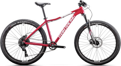 TITAN RACING Rogue Calypso Cruz 2024