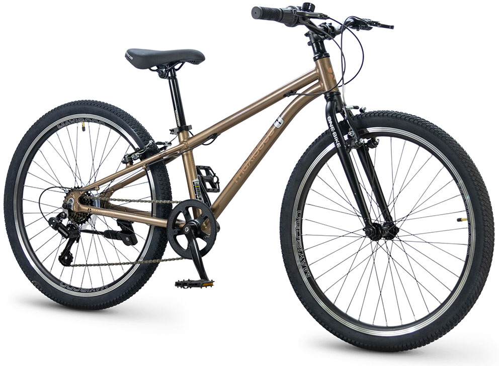 MAXISCOO 1Bike 24 2026