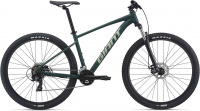 GIANT Talon 29 4 2021