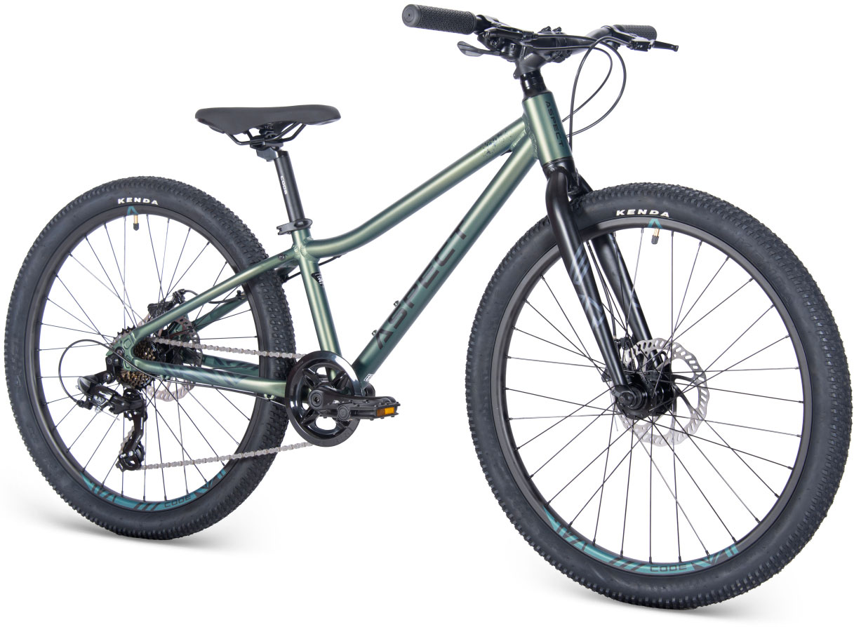 ASPECT Winner Lite 24 2025