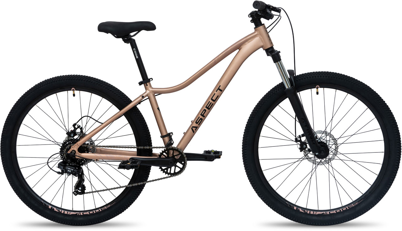 ASPECT Oasis 27.5 2026