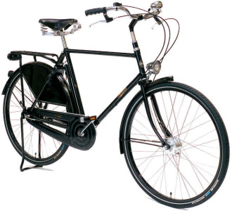 PASHLEY Roadster Sovereign 8