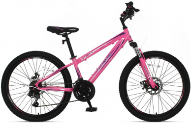 MAXXPRO Steely 24 Pro 2022