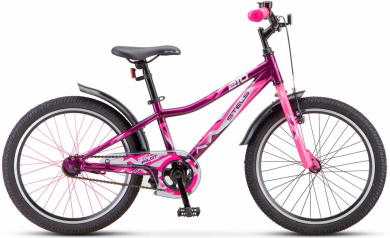 STELS Pilot 210 20 2021