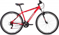 STINGER Caiman 29 2021