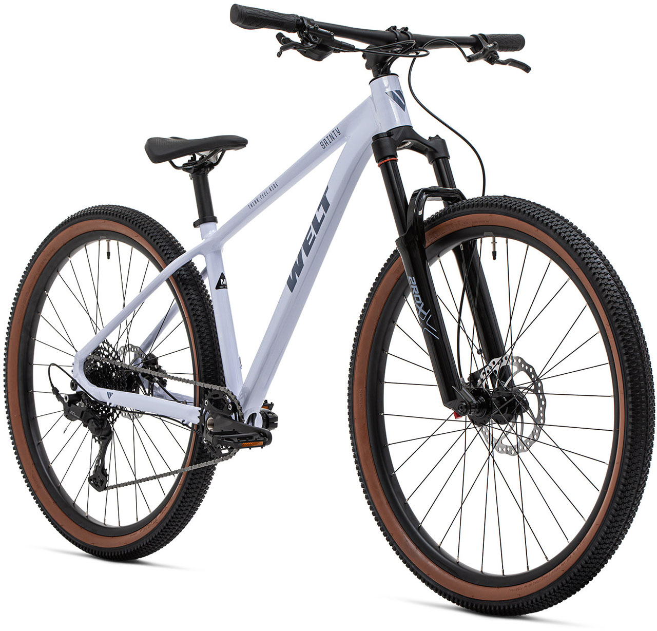 WELT Sainty 2.0 29 2026