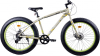 AIST FBS 2021