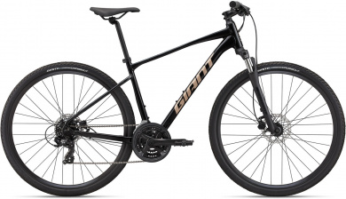 GIANT Roam 4 Disc 2022