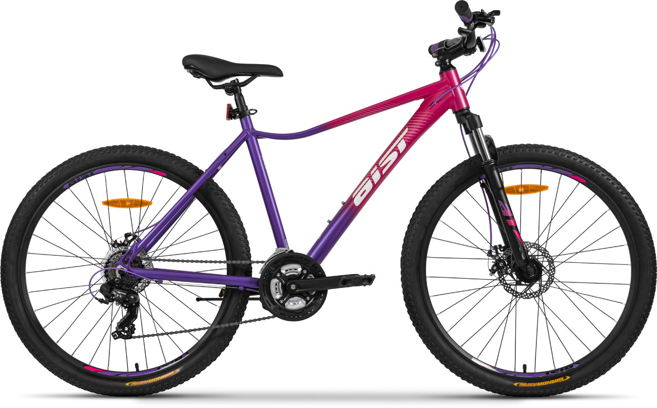 AIST Rosy 1.0 Disc 27.5 2026