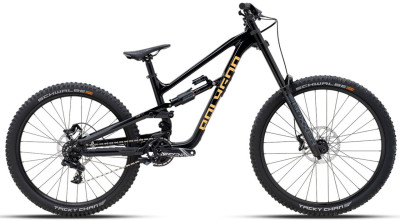 POLYGON Collosus DH M 29 2025