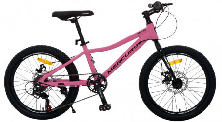 HAEVNER Mercury 20 2026