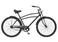 SCHWINN Swindler 2020