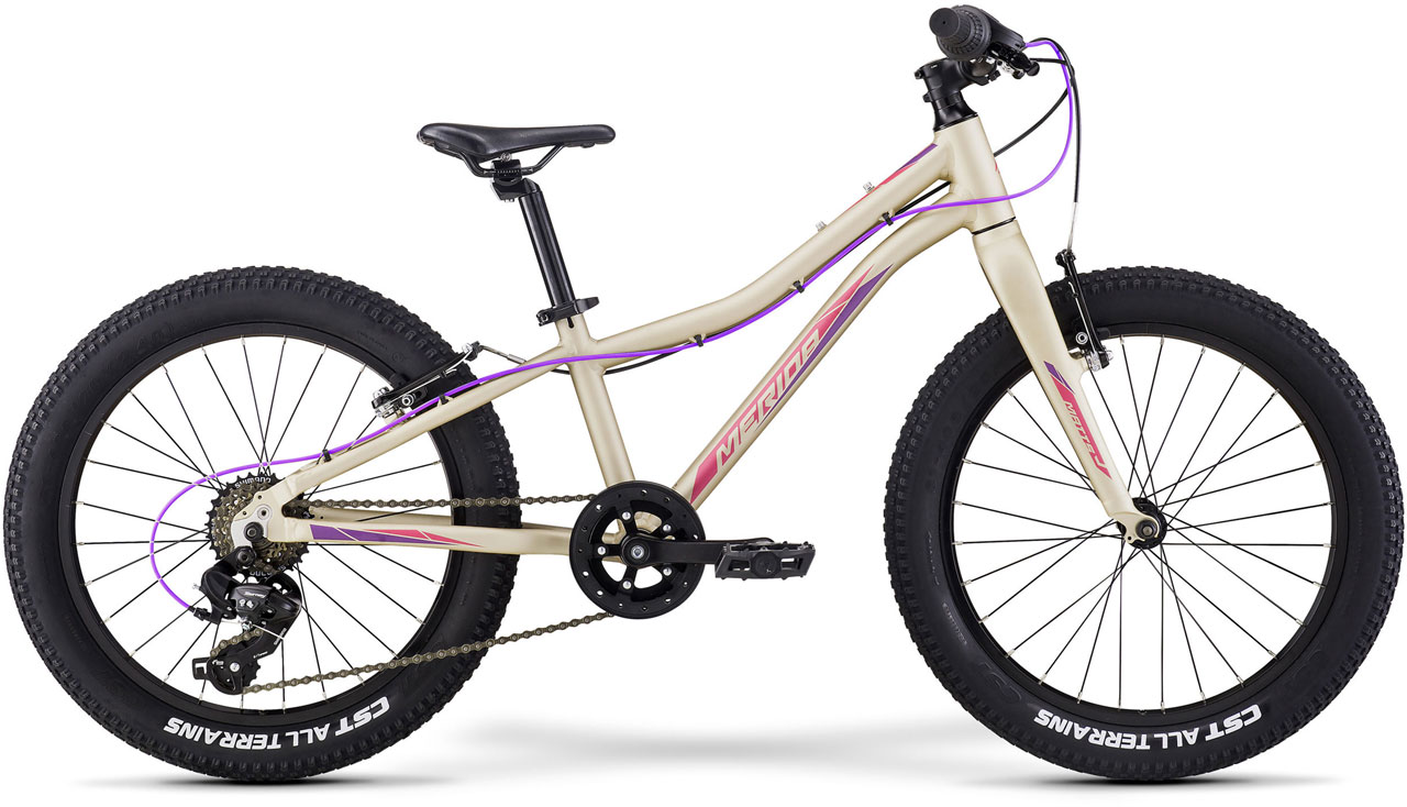 MERIDA Matts J20+ Eco 2022