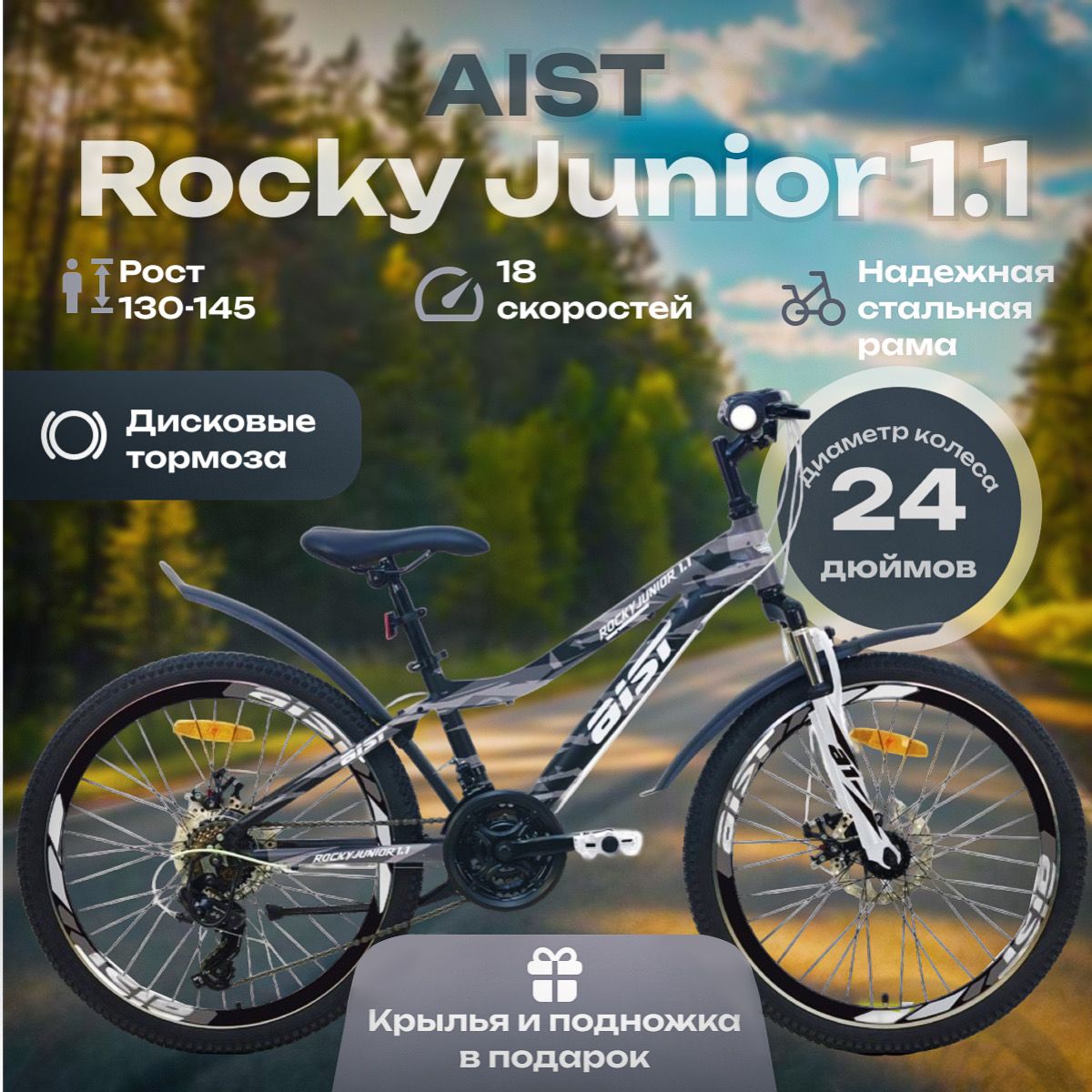AIST Rocky Junior 1.1 2025