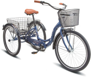 STELS Energy III VC 26 2025