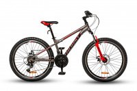 HORST Rainer 24 Disc 2020