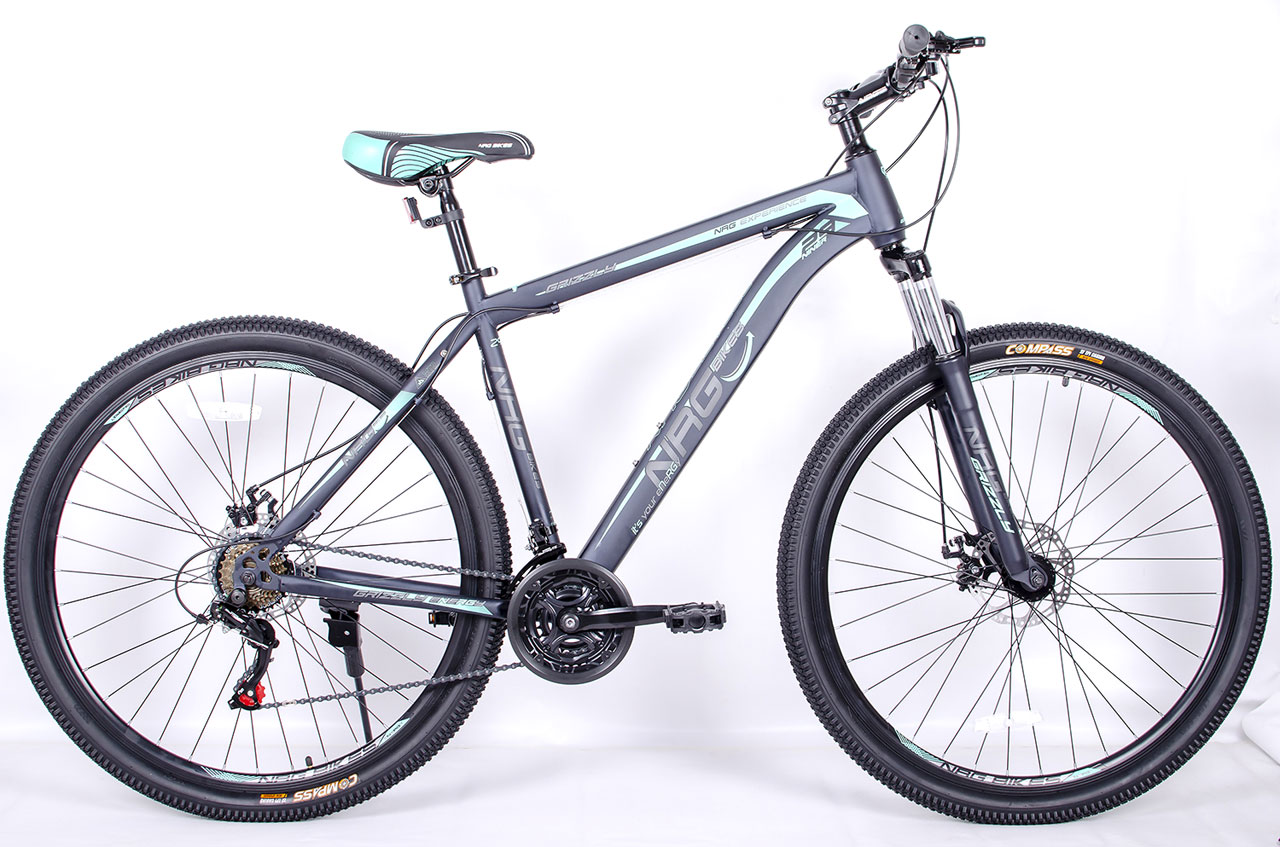NRG BIKES Grizzly 29 2025