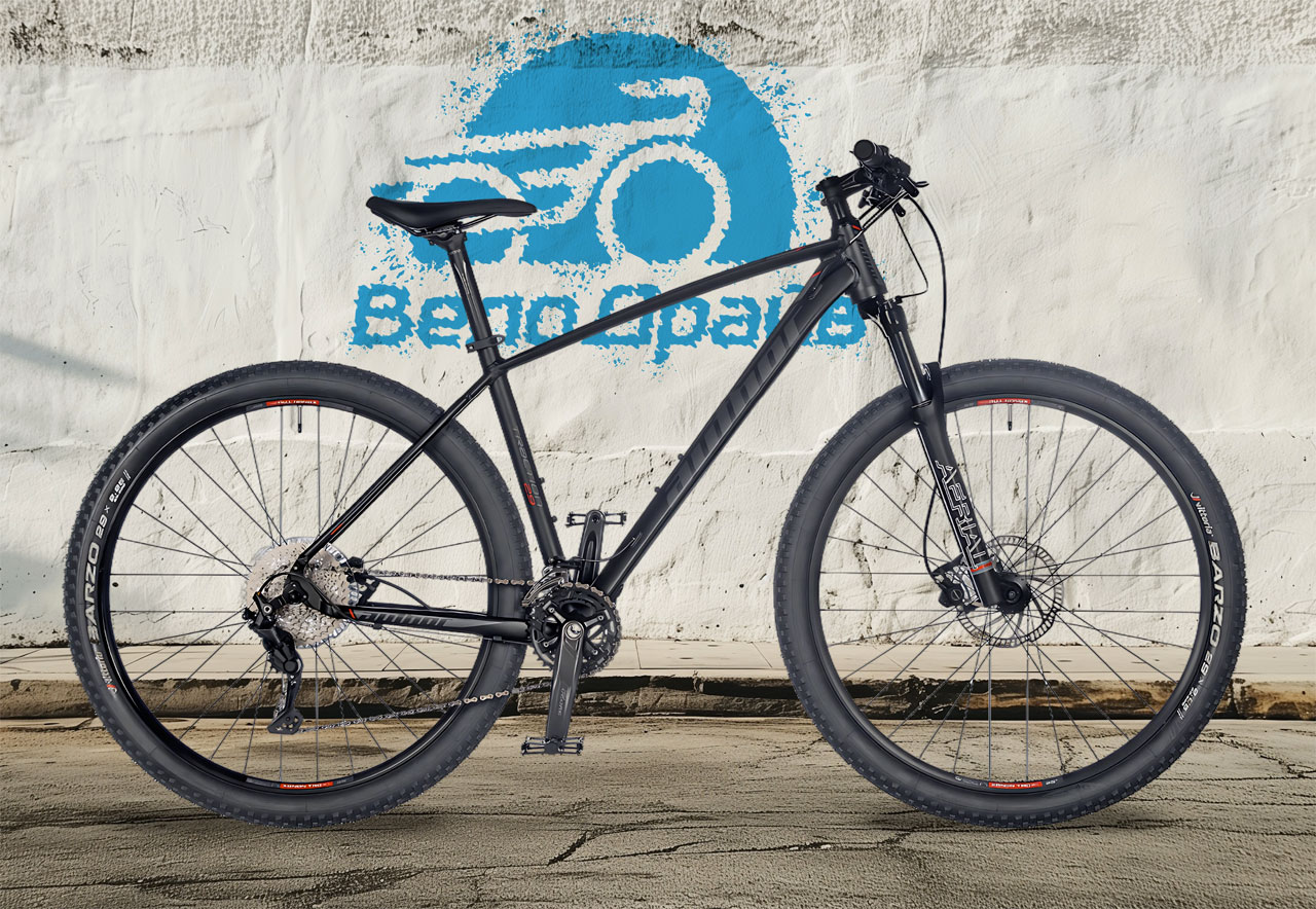 AUTHOR Traction 29 2024