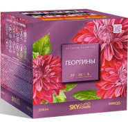 Батарея салютов ZEERGO Георгины, 36 залпов, Z0894