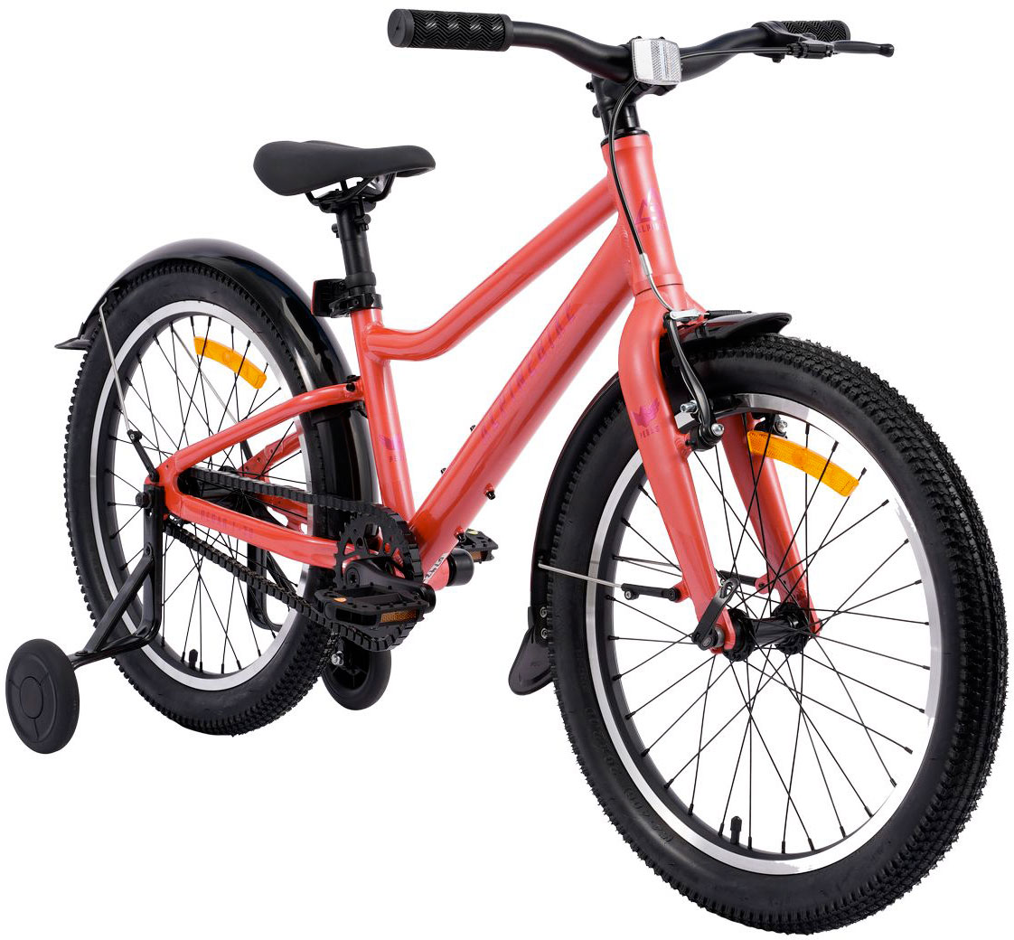 ALPINEBIKE Pegas 1-20 2026