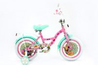 MAXXPRO Regal Academy 14