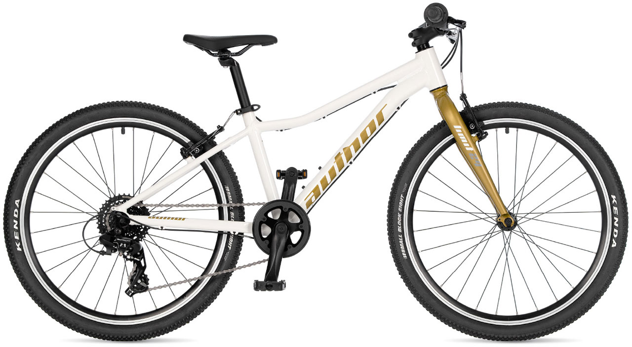 AUTHOR Limit 24 2026