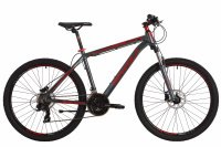 DEWOLF Ridly 40 2019