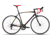 Stark Peloton 2015