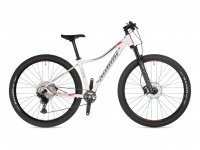 AUTHOR Instinct 29 ASL 2021