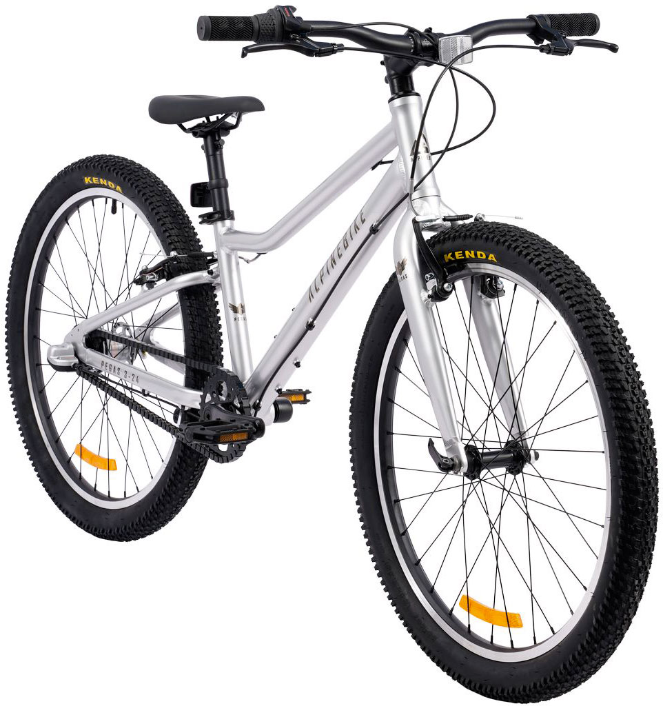 ALPINEBIKE Pegas 3-24 2026