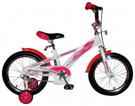 TECH TEAM 137 16 (16137)