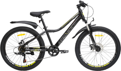 TECH TEAM Aria 24 disc 2024