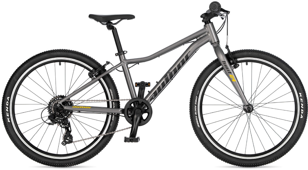 AUTHOR Limit 24 2026